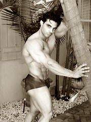 Egyptian muscle man Tamer