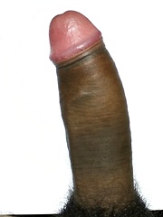 Big Black Cocks